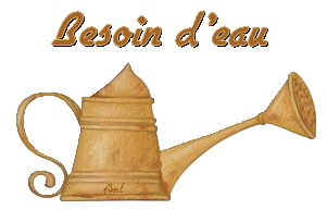 arrosoir jardin
